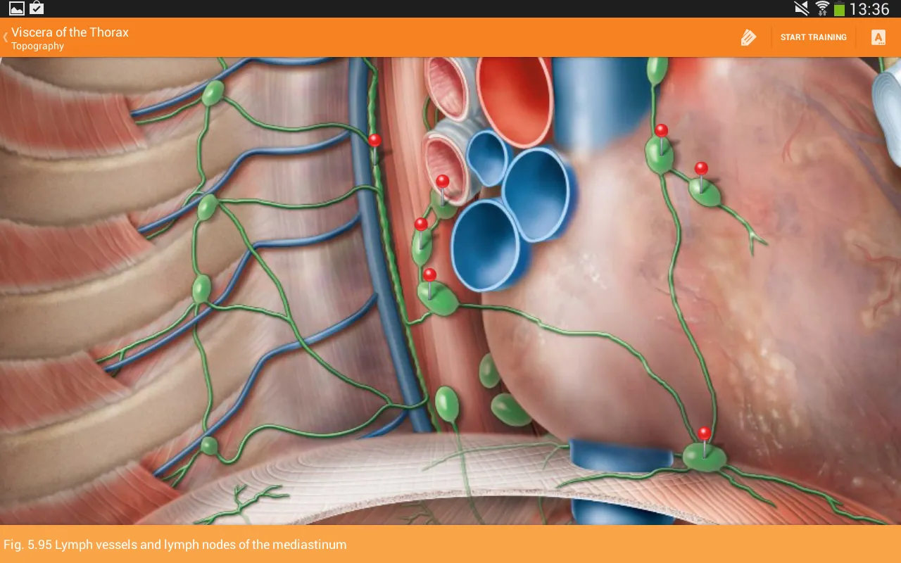 Sobotta Anatomy screenshot 1