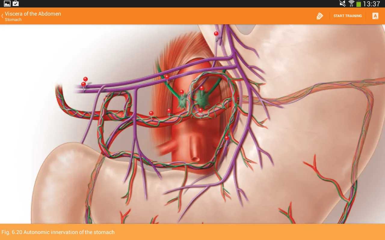 Sobotta Anatomy screenshot 3