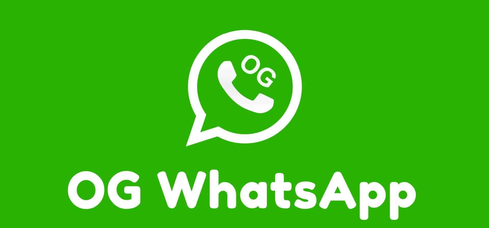 OGWhatsApp screenshot 2