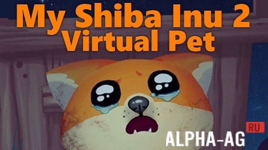 My Shiba Inu 2