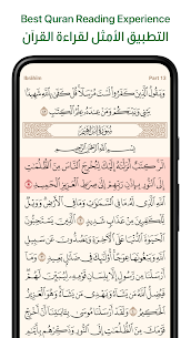 Ayah: Quran App screenshot 1