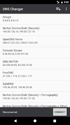 DNS Changer screenshot 1