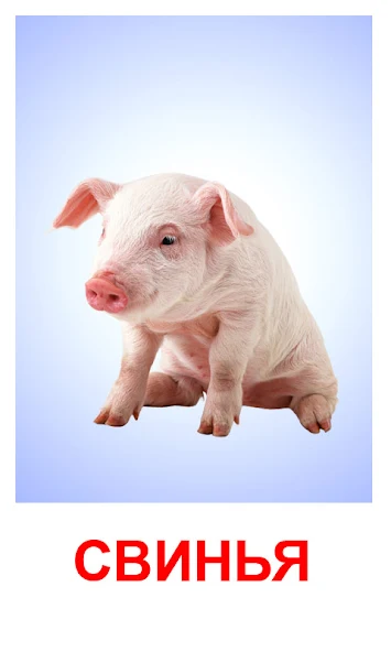 Flashcards for Kids screenshot 2