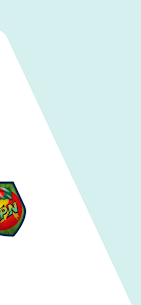 Bangladeshi VPN screenshot 2