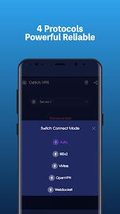 Ostrich VPN screenshot 3