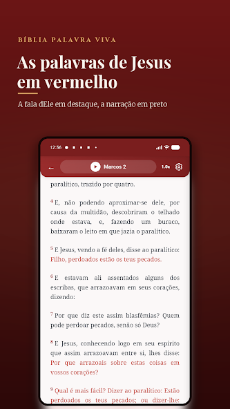 Bíblia Palavra Viva Screenshot 3