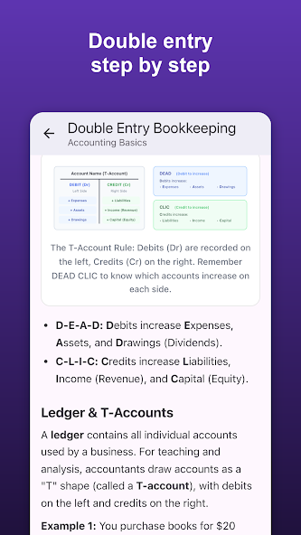 Basic Accounting Concepts screenshot 3