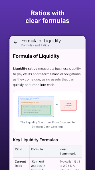 Basic Accounting Concepts screenshot 4