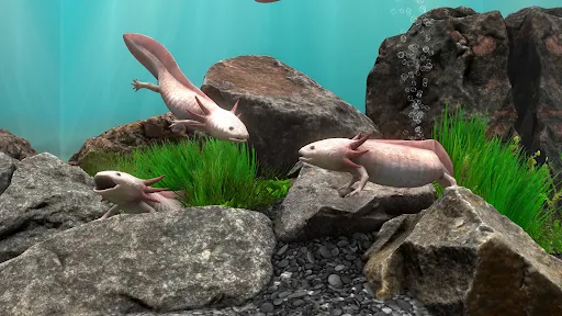 Fish Farm 4: 3D Aquarium screenshot 2