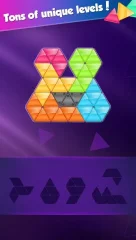 Block! Triangle puzzle: Tangram gameplay preview 4