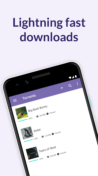 BitTorrent Pro screenshot 1