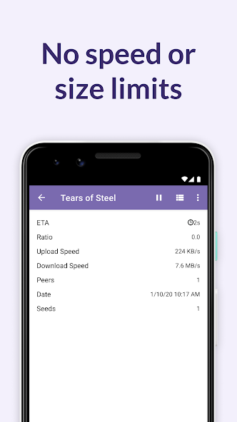 BitTorrent Pro screenshot 2