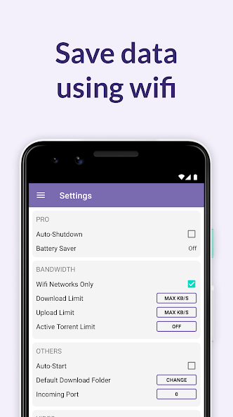BitTorrent Pro screenshot 3