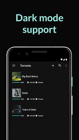 BitTorrent Pro screenshot 4