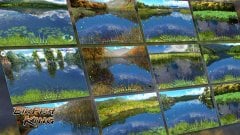 BIGFISH KING screenshot 2