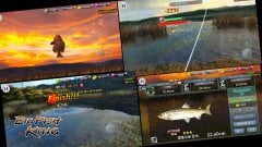BIGFISH KING screenshot 5