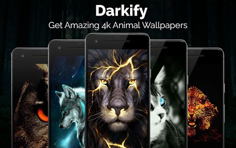 Black Wallpaper: Darkify screenshot 3