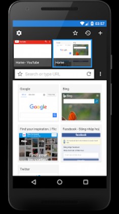 Ursa Browser screenshot 2