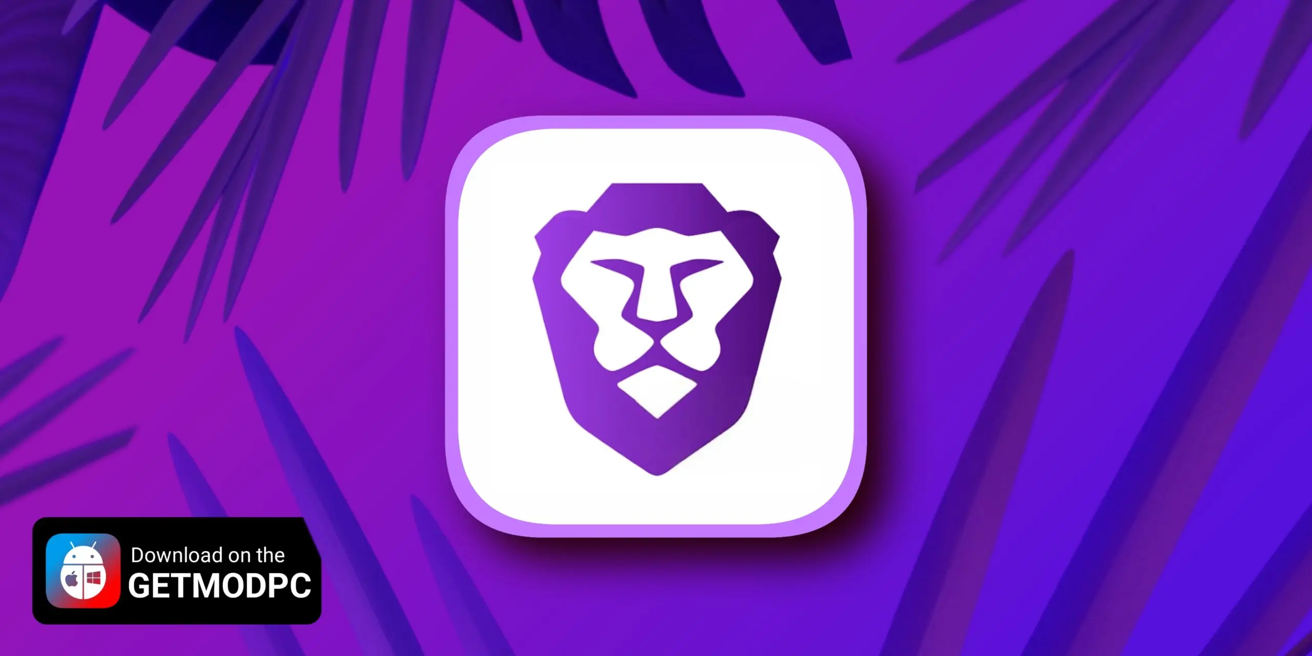 Brave Browser Nightly screenshot 1
