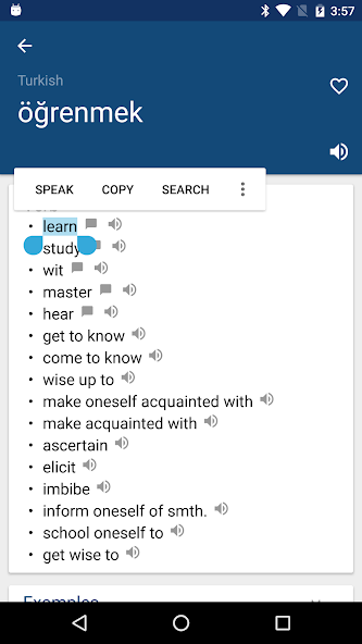Dictionary screenshot 1