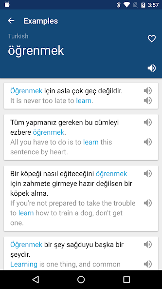 Dictionary screenshot 2