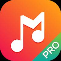Legend Music Player Pro