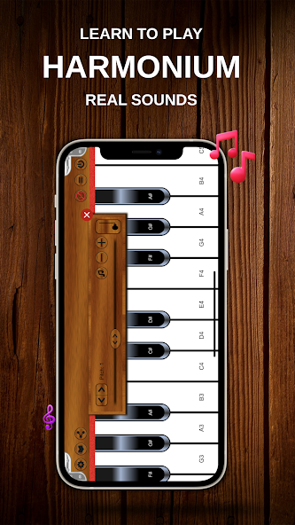 Harmonium - Real Sounds