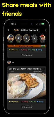Cal Plus screenshot 3