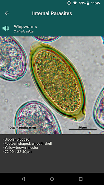 CAPC Ova ID Screenshot 3