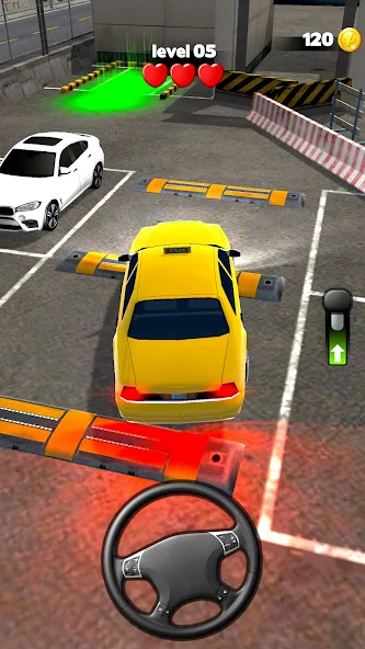Car Driver 3D