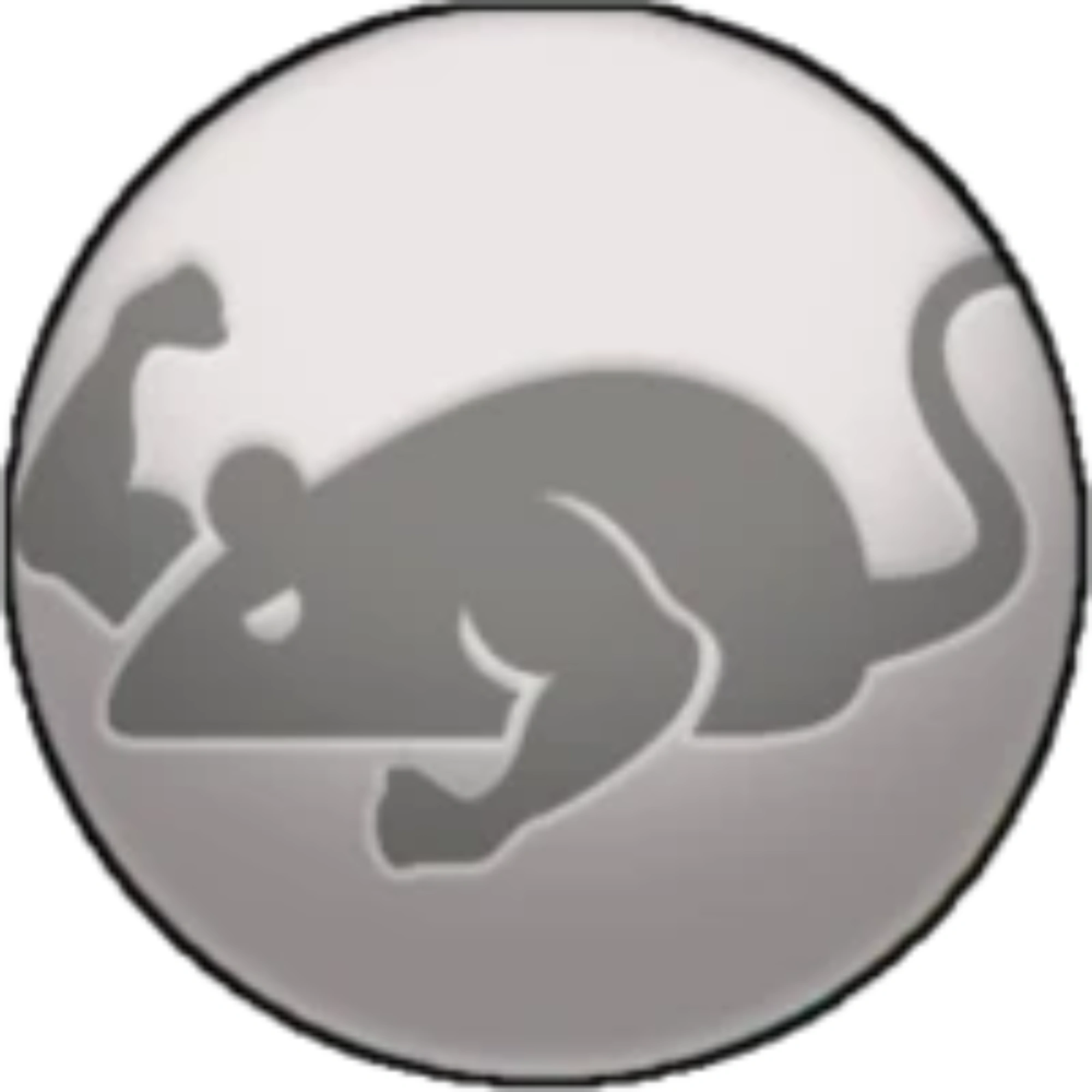 Catmouse App
