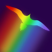 Soar