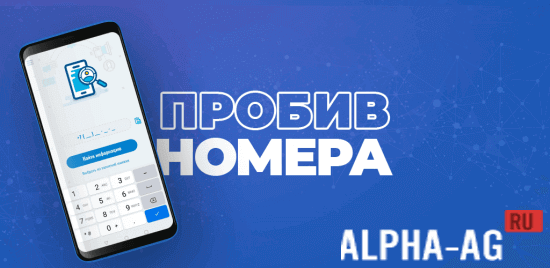 Phone Number Lookup