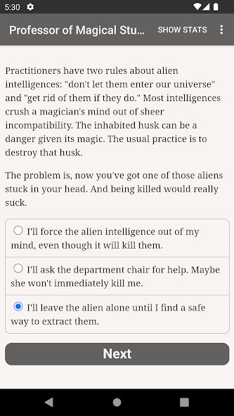 Professor of Magical Studies screenshot 2