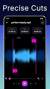 MP3 Cutter and Merger – SOMIX screenshot 2