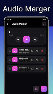 MP3 Cutter and Merger – SOMIX screenshot 4
