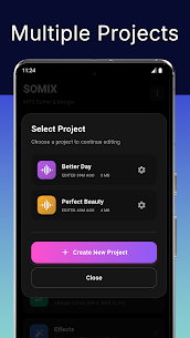 MP3 Cutter and Merger – SOMIX screenshot 8