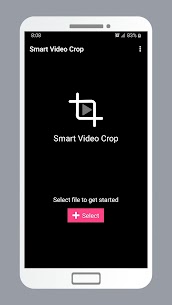 Smart Video Crop preview 1
