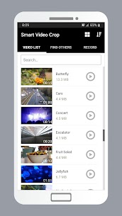 Smart Video Crop preview 2