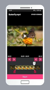 Smart Video Crop preview 4