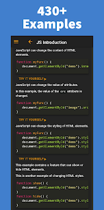 Learn JavaScript Pro screenshot 3