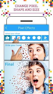 Pixel Effect screenshot 3