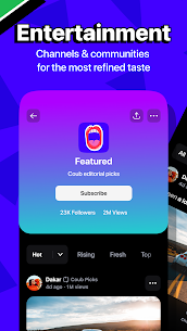 Coub – GIFs with Sound preview 5