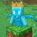 Craftsman Master screenshot 1