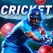 Cricket Games-IPL Screenshot 1