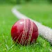 Cricket Kings Cricket Game screenshot 1