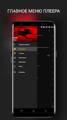 CROW Player screenshot 1