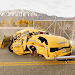 Crash Dummy Test : Drive Car screenshot 1