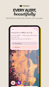 TheNotch - Dynamic Island in-app preview 3