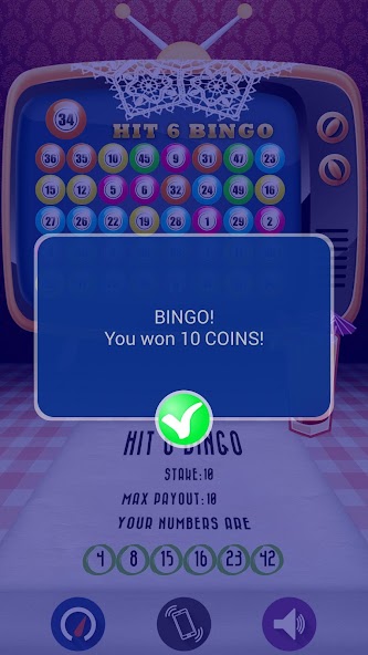 Hit 6 Bingo screenshot 5